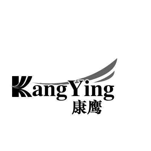 康鷹KANGYING
