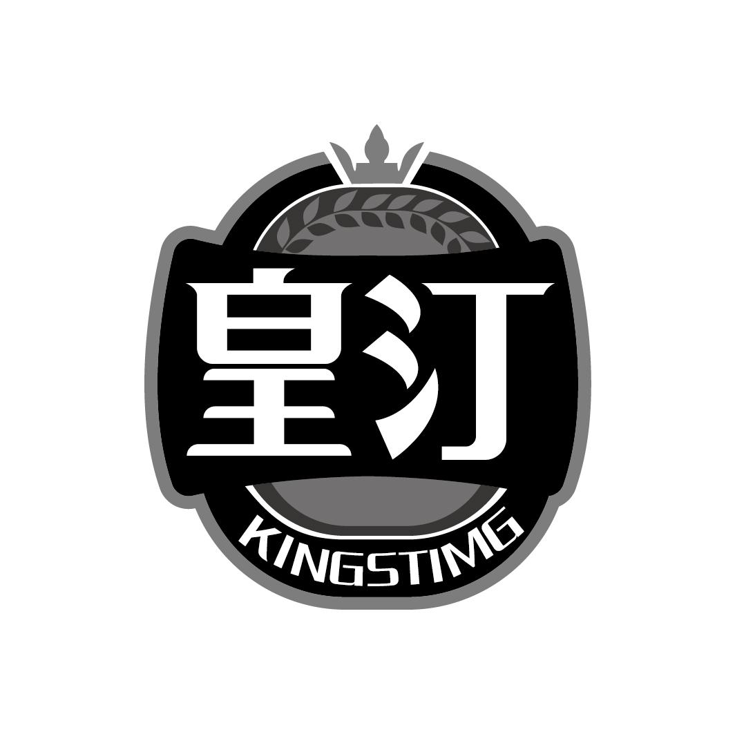 皇汀 KINGSTIMG