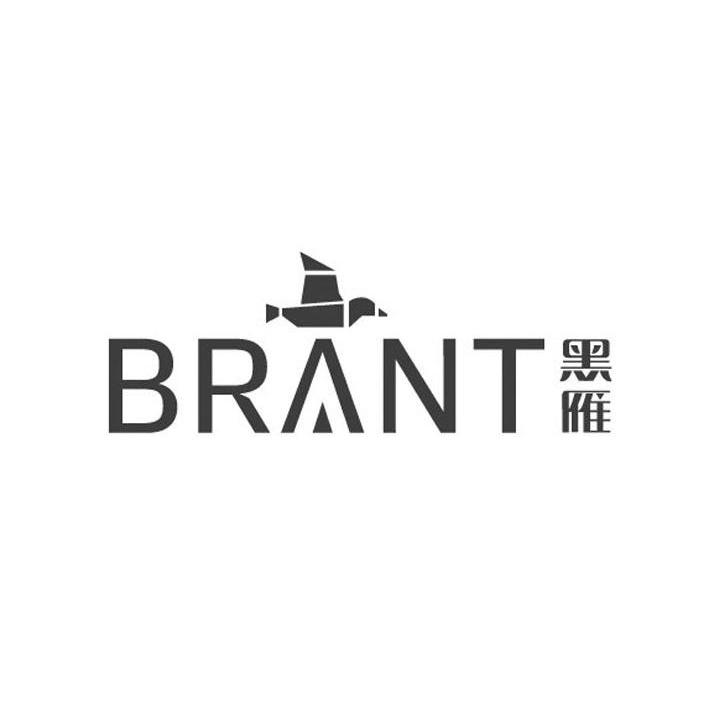 黑雁 BRANT