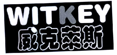 威克莱斯 WITKEY