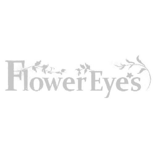 FLOWEREYES