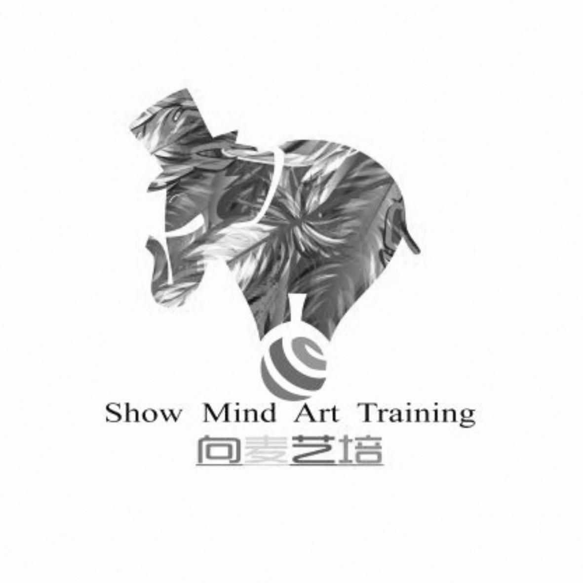 向麦艺培 SHOW MIND ART TRAINING