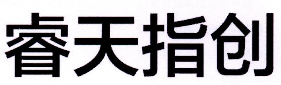 睿天指創
