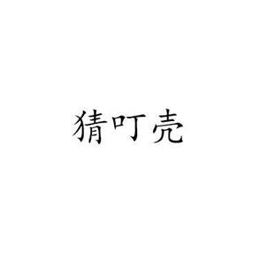 猜叮壳
