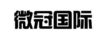 微冠国际