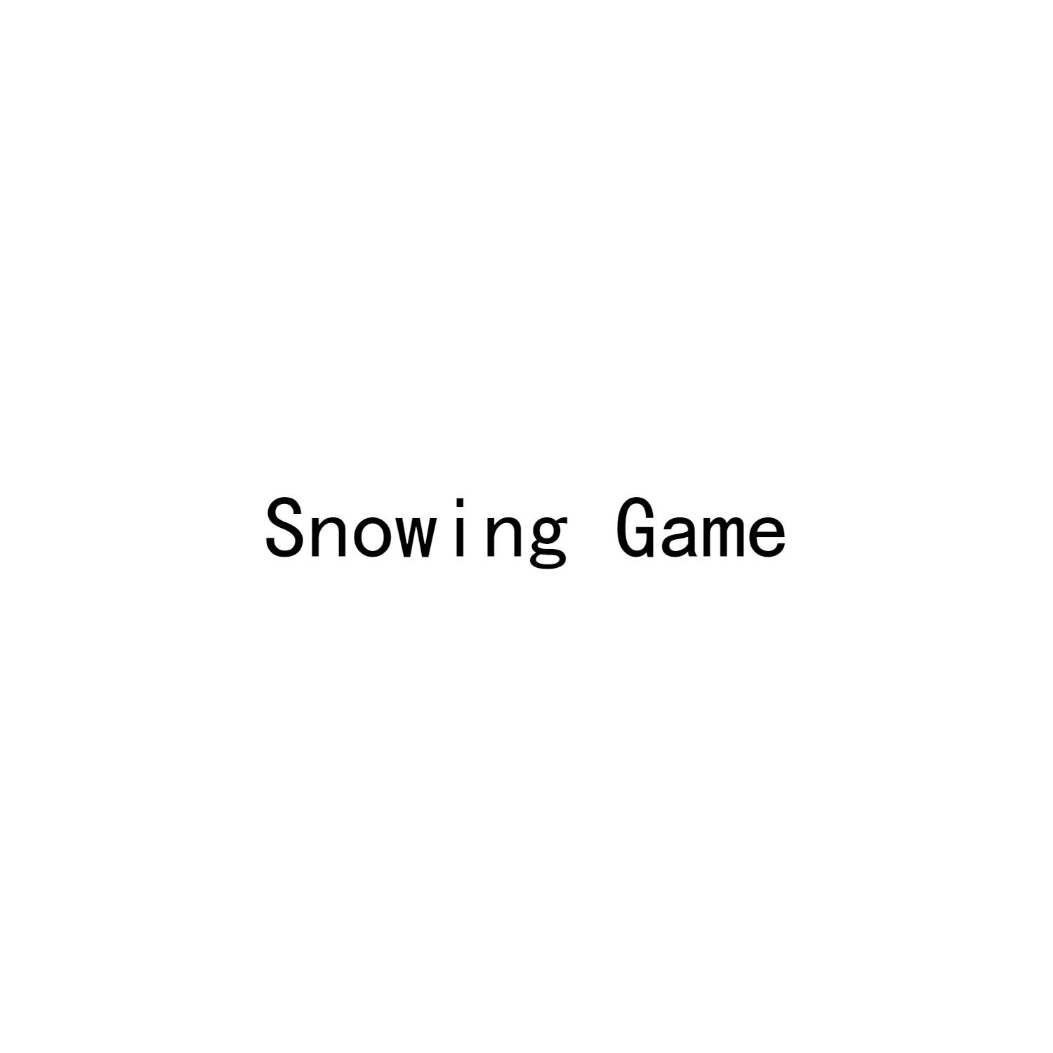 SNOWING GAME