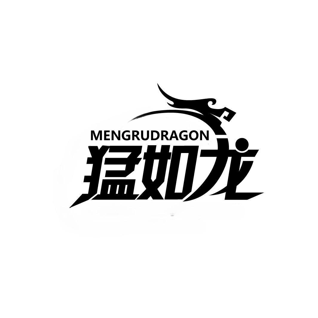 猛如龙 MENGRUDRAGON