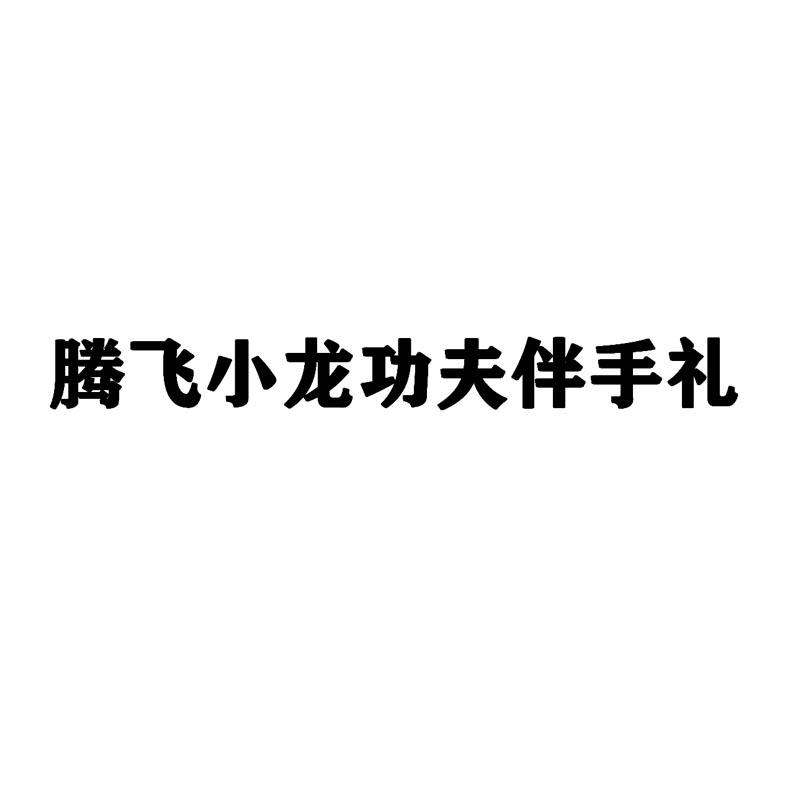 腾飞小龙功夫伴手礼