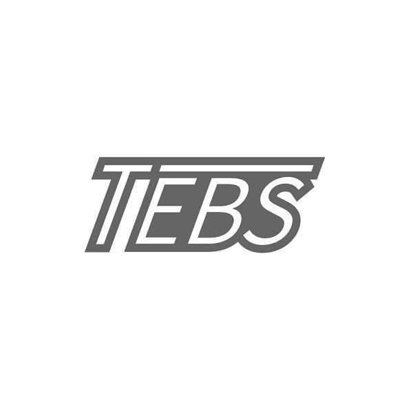 TEBS