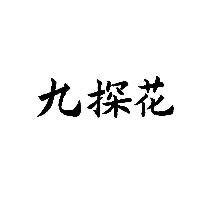 九探花