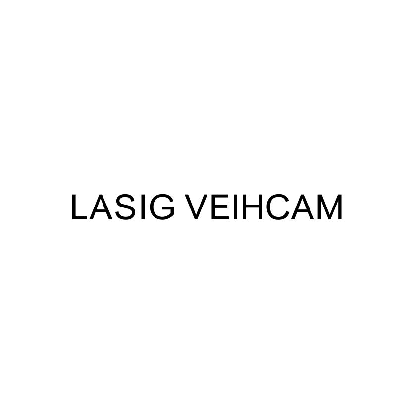 LASIG VEIHCAM