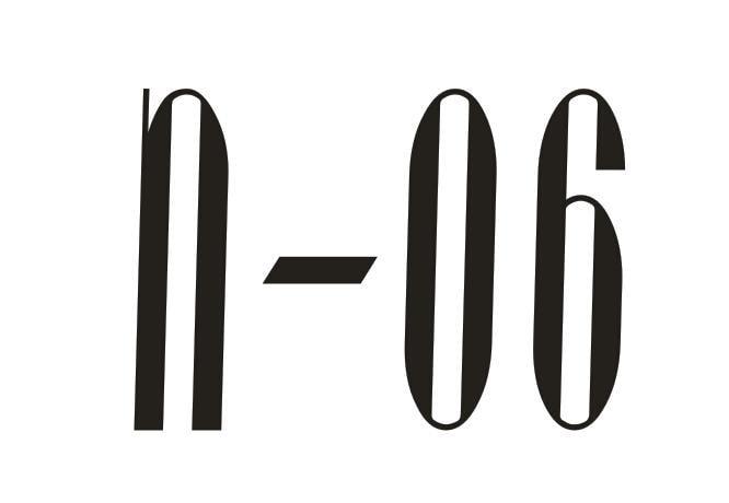 N-06