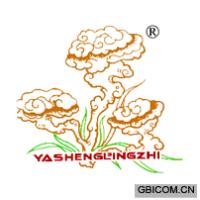 YASHENGLINGZHI