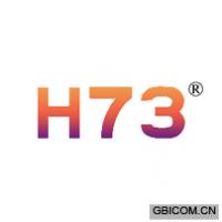 H 73