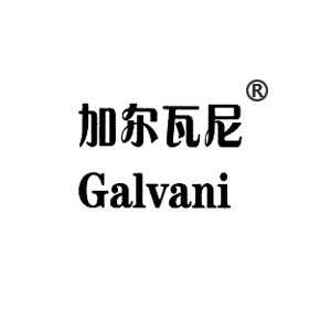 加尔瓦尼 GALVANI