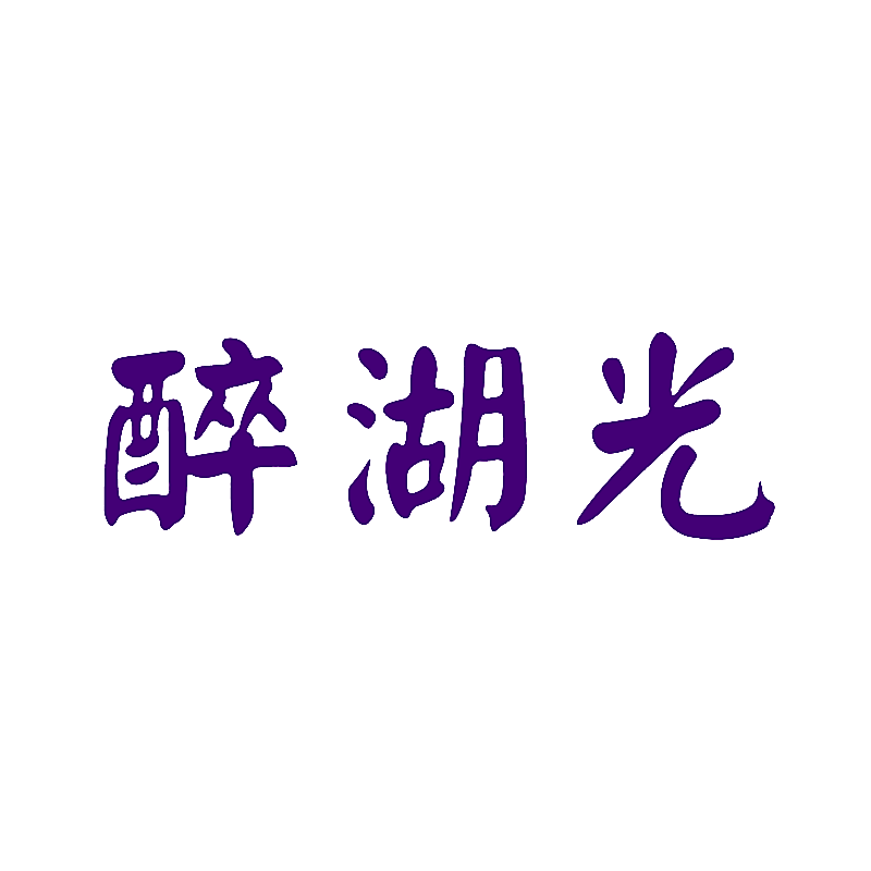醉湖光