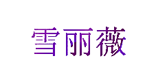 雪丽薇