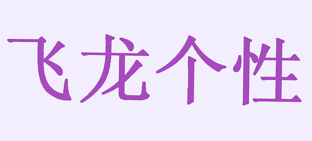 飞龙个性