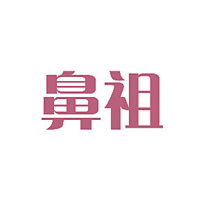 鼻祖