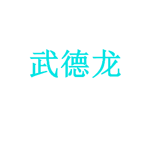 武德龙