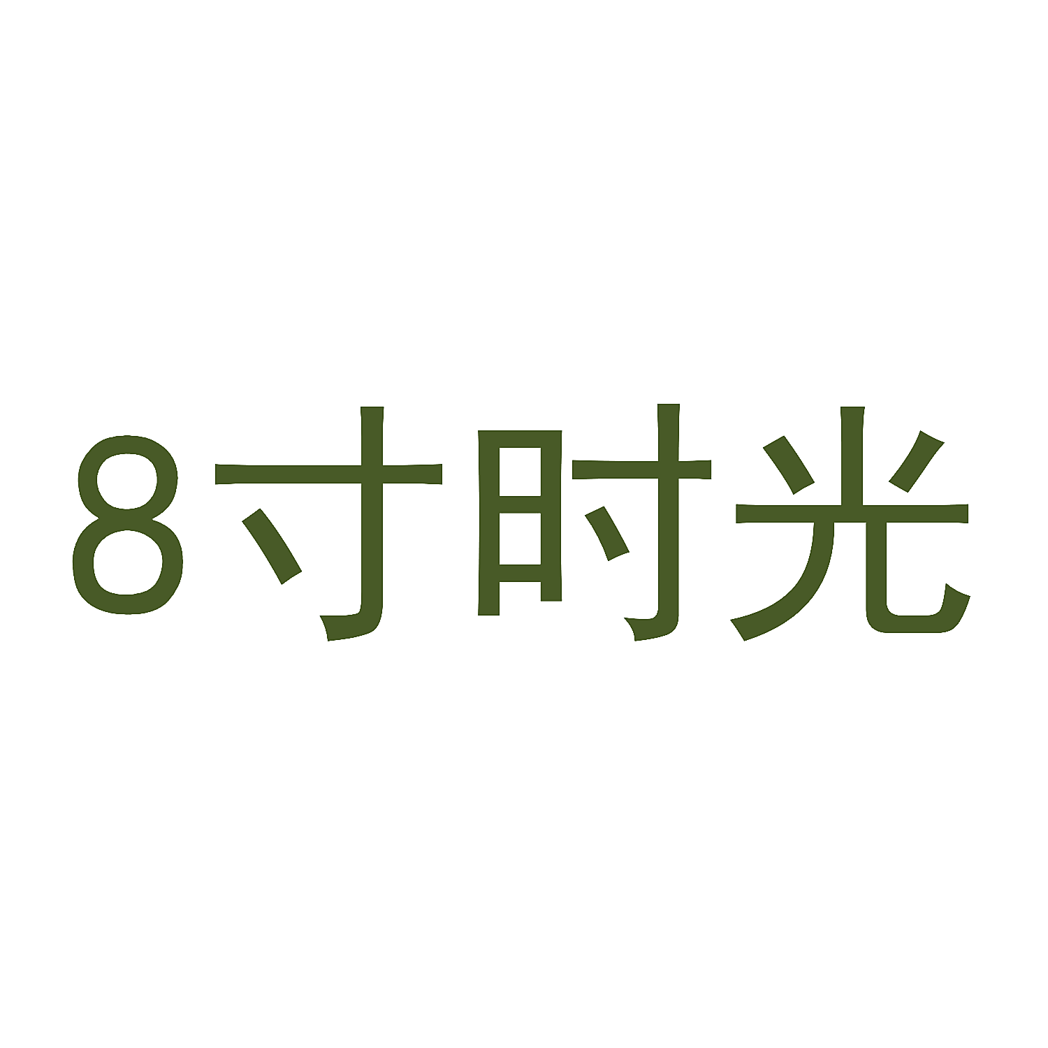 8寸时光