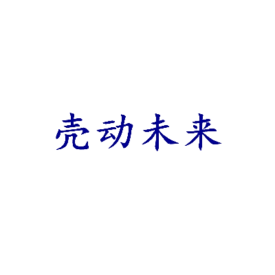 壳动未来