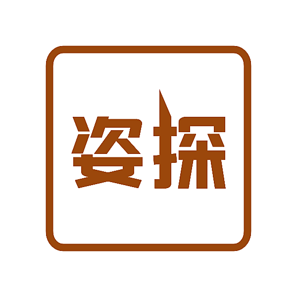 姿探