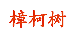 樟柯树
