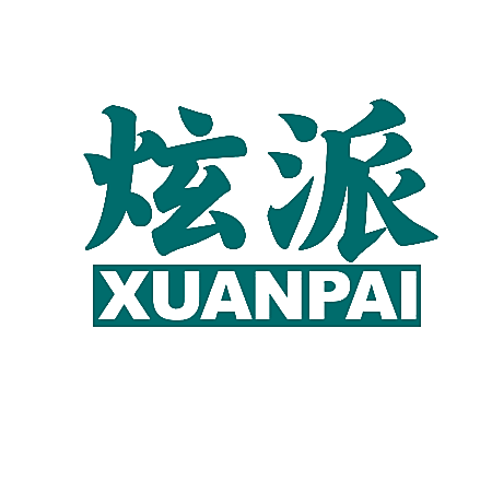 炫派