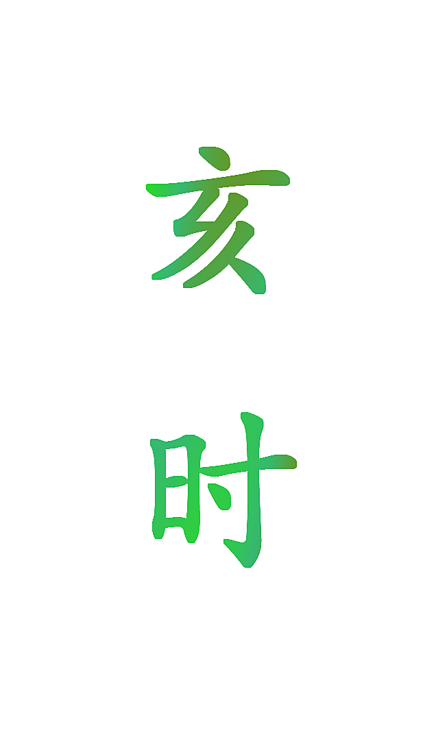 亥时
