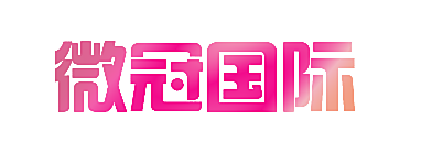 微冠国际
