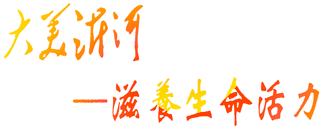 大美沂河 滋养生命活力