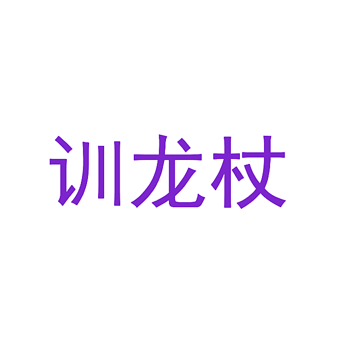 训龙杖