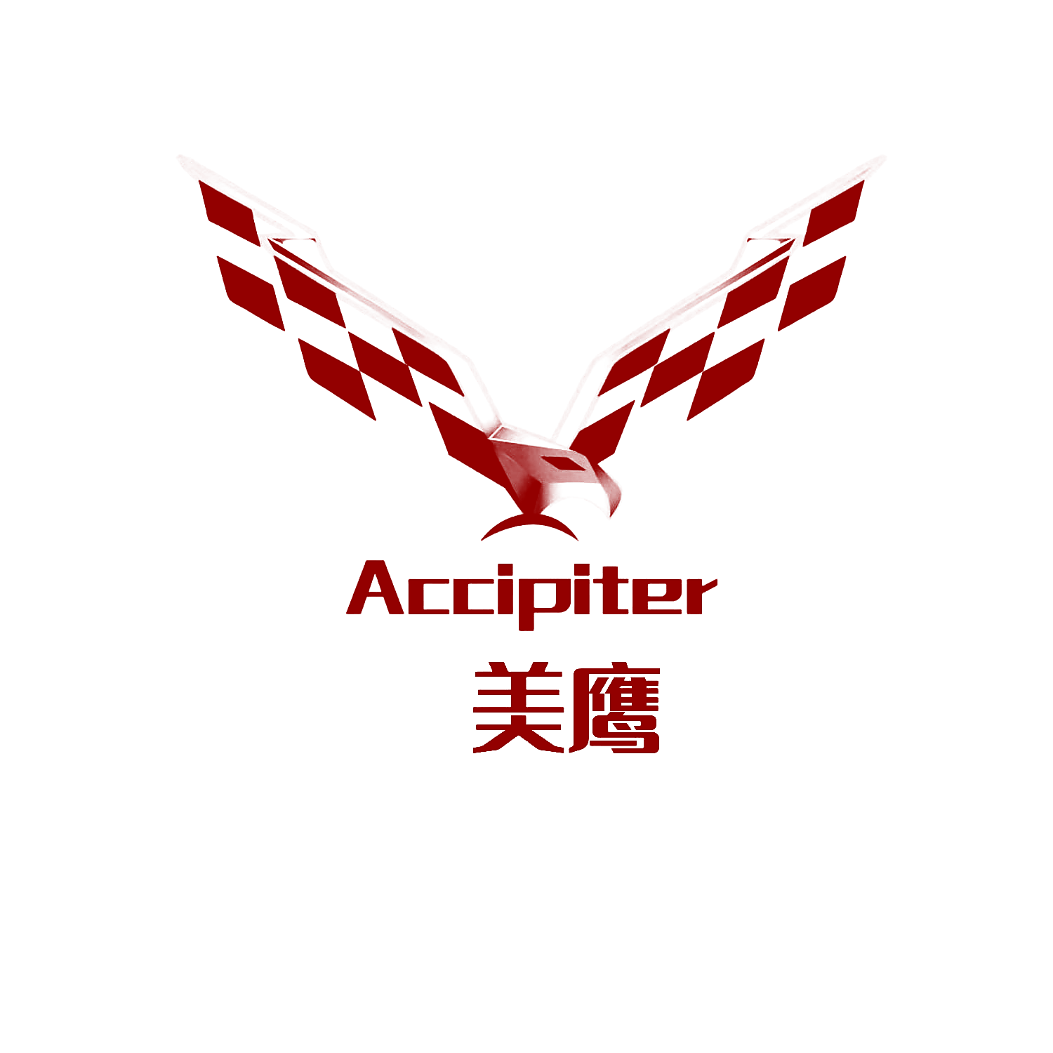 ACCIPITER 美鹰