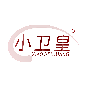 小卫皇