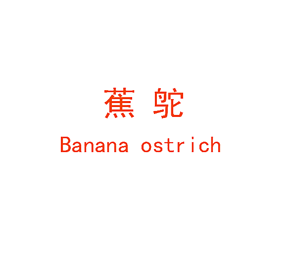 蕉鸵 BANANA OSTRICH