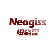 纽格思 NEOGISS