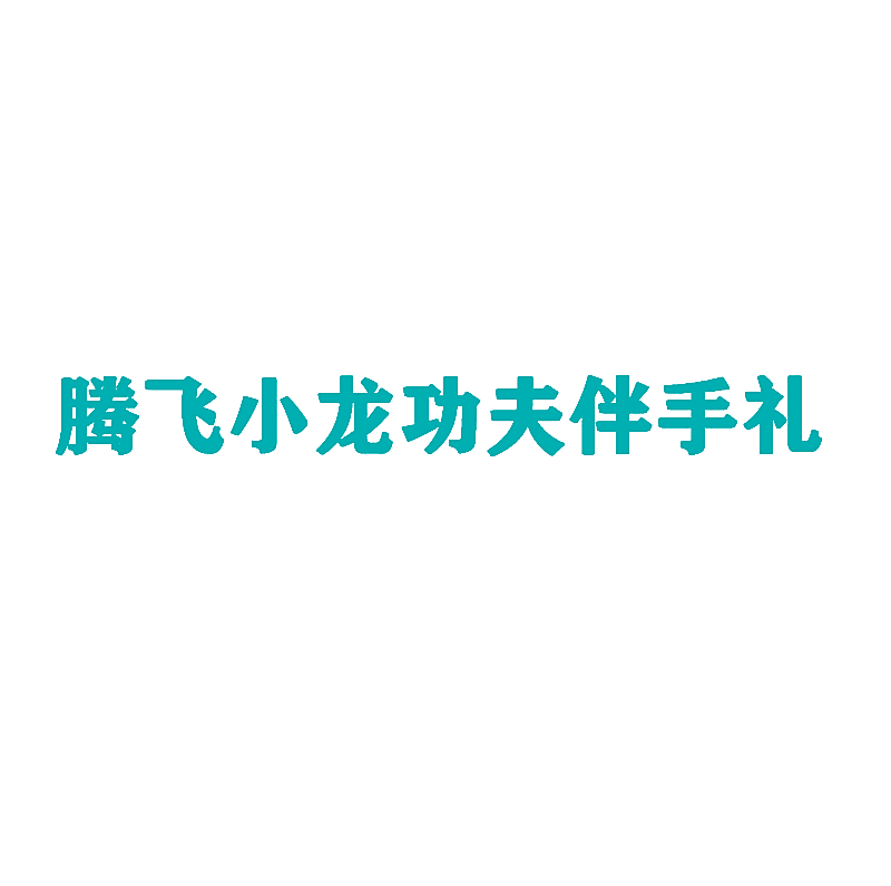 腾飞小龙功夫伴手礼