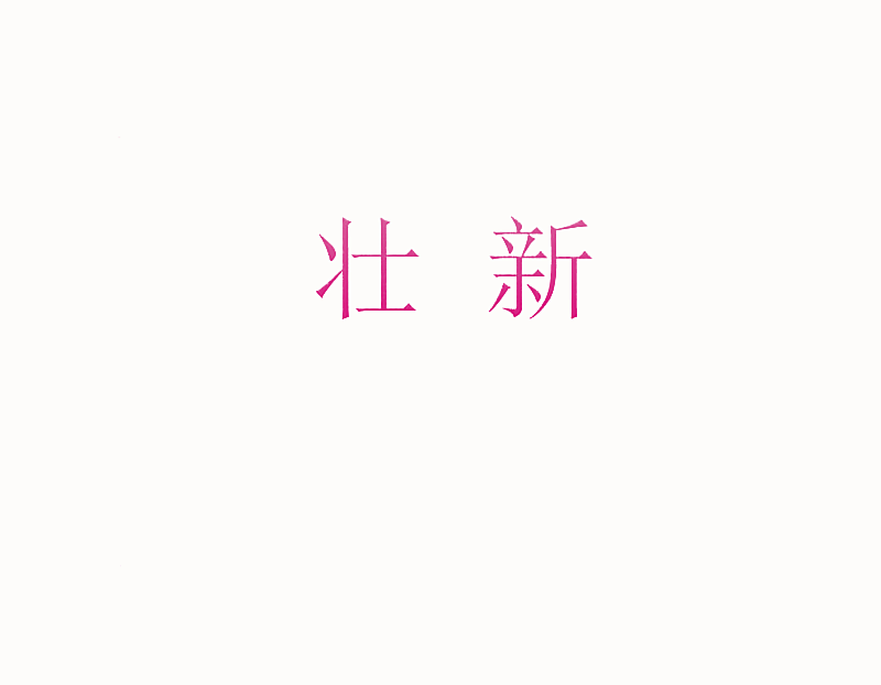 壮新