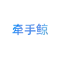 牵手鲸