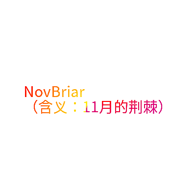 NOVBRIAR
（含义：11月的荆棘）