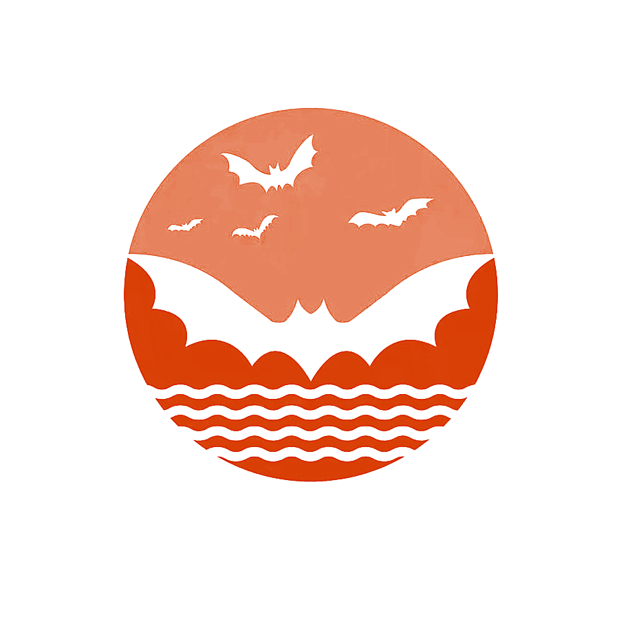 图形