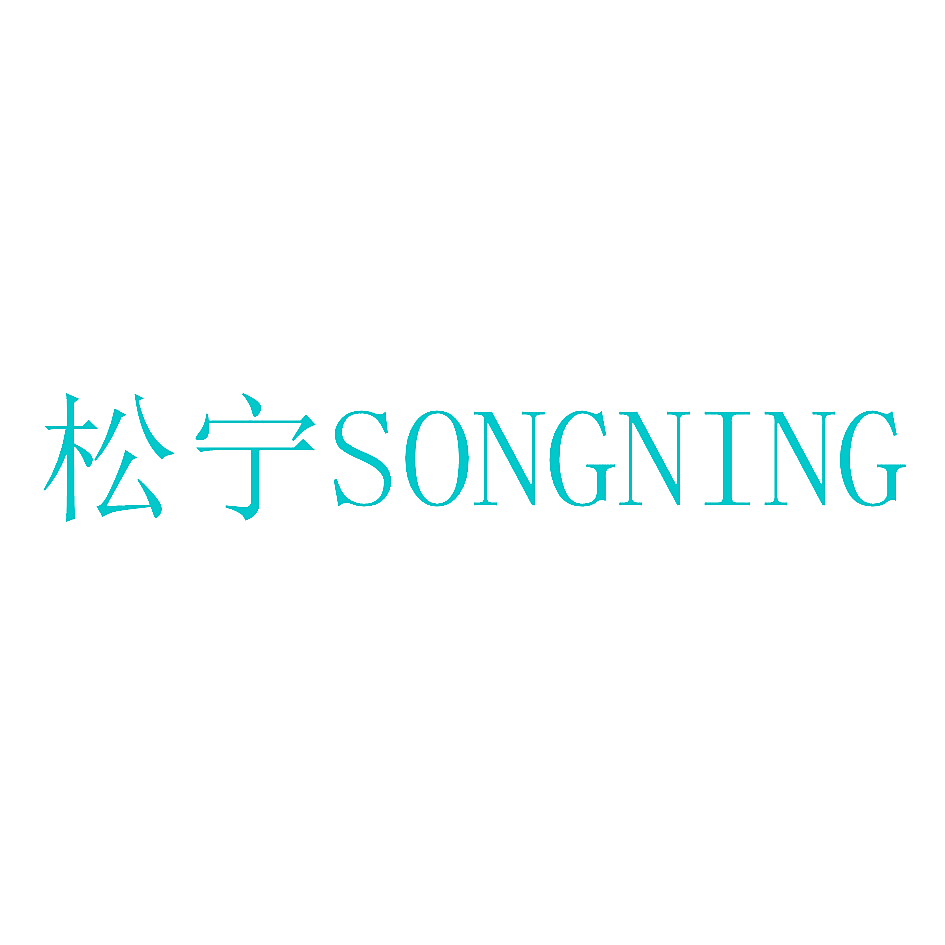 松宁