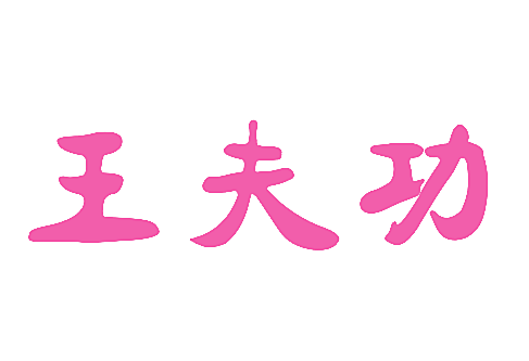 王夫功