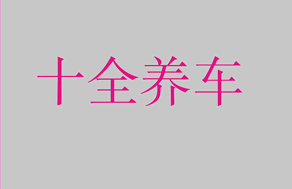 十全养车