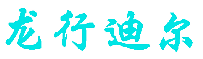 龙行迪尔