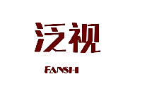 泛视