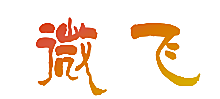 微飞