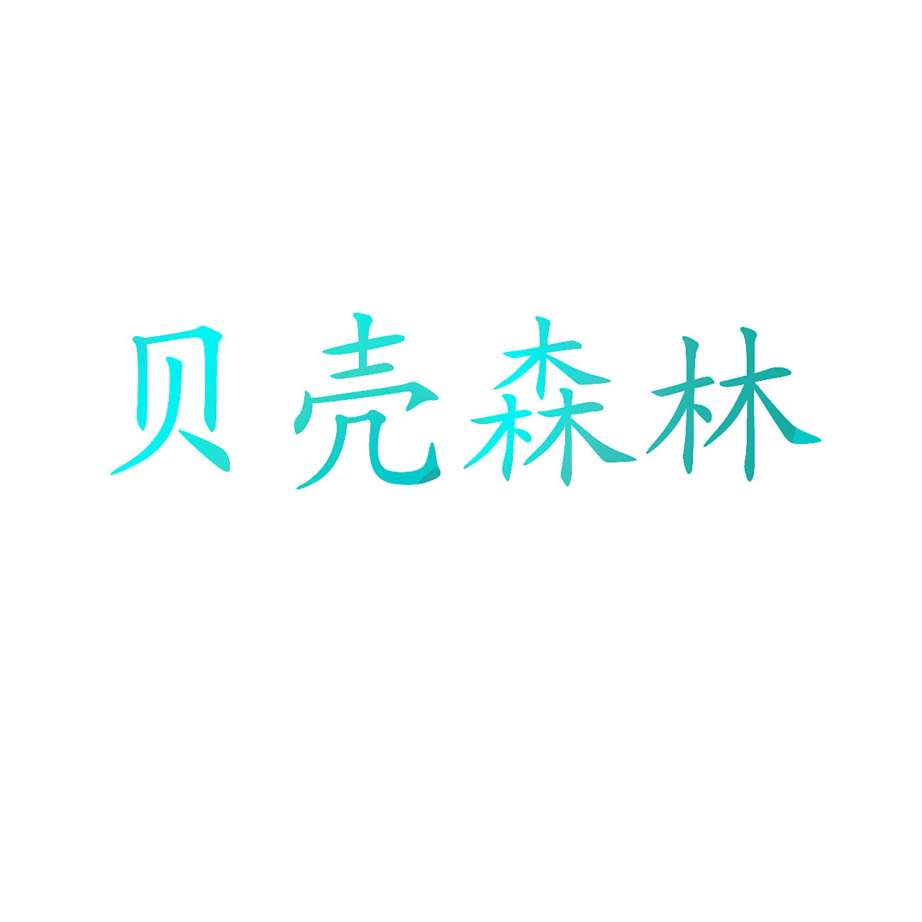 贝壳森林